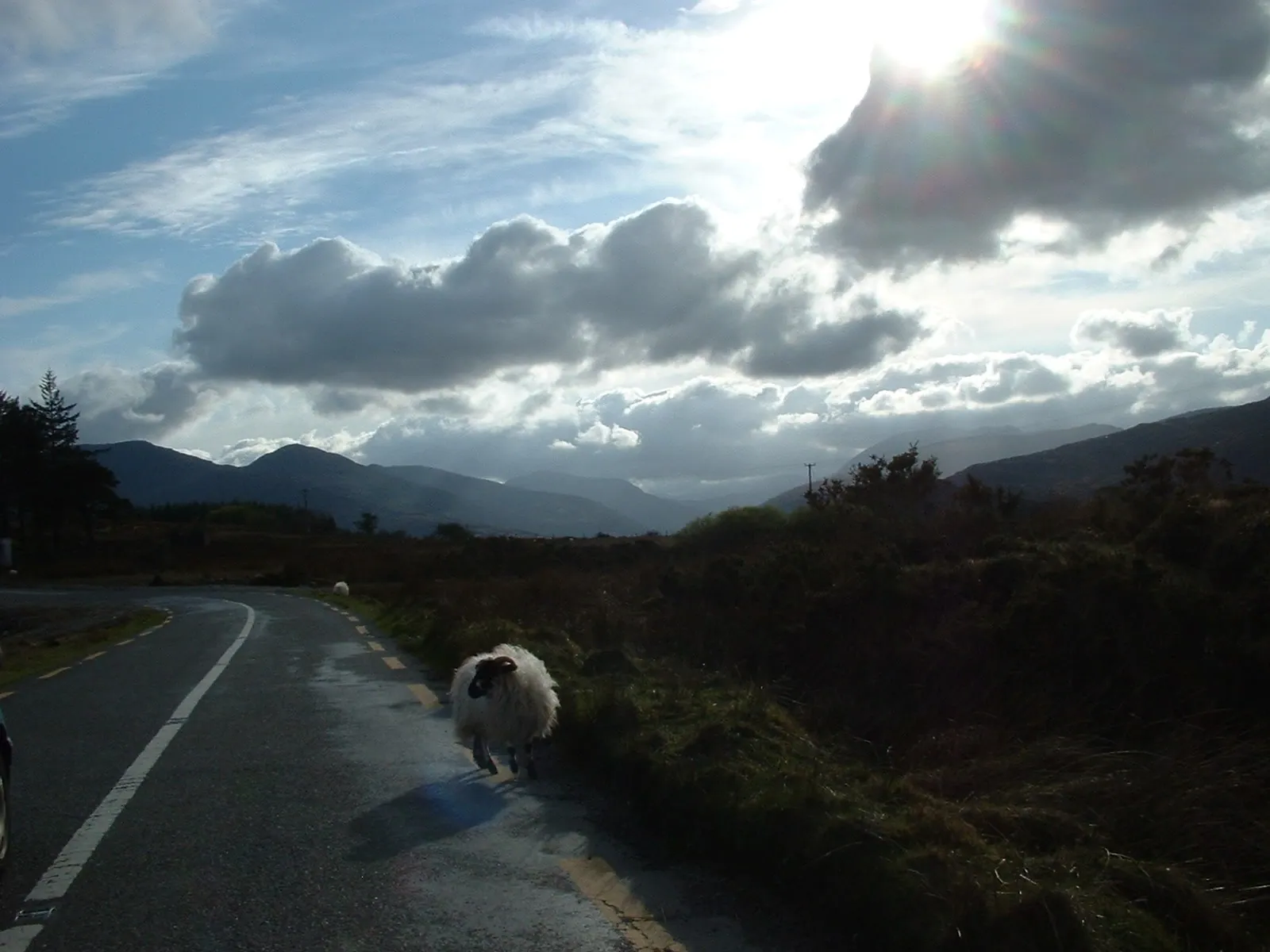 Looking towards ladies view